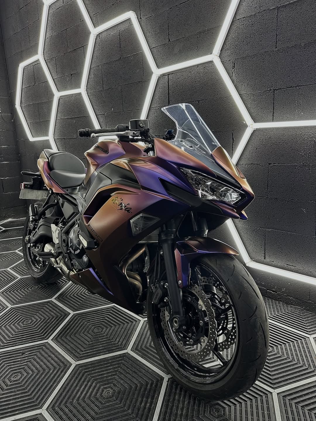 Cette kawazaki ninja 650 gris mat d’origine, s’est